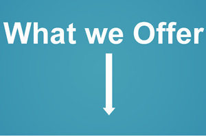 What we offer